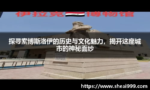 探寻索博斯洛伊的历史与文化魅力，揭开这座城市的神秘面纱