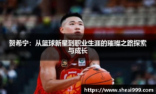 贺希宁：从篮球新星到职业生涯的璀璨之路探索与成长